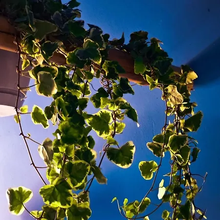 Atlas With Shared Bathroom Pressburg