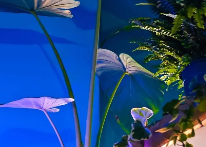 Atlas With Shared Bathroom * ブラチスラヴァ