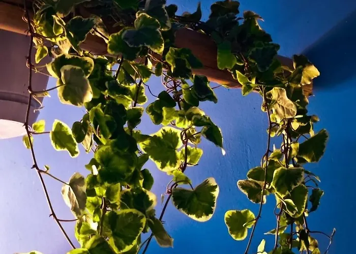 Atlas With Shared Bathroom Μπρατισλάβα