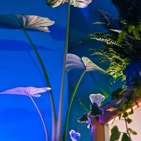 Atlas With Shared Bathroom * Bratislava